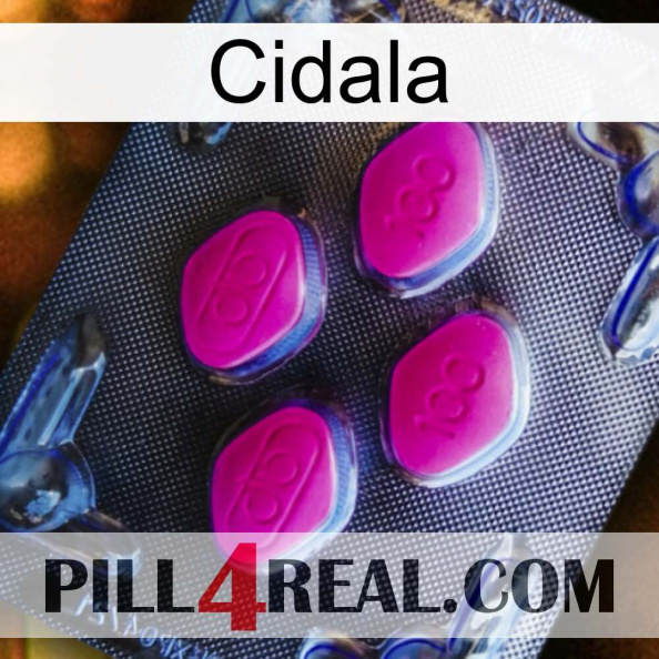Cidala 02